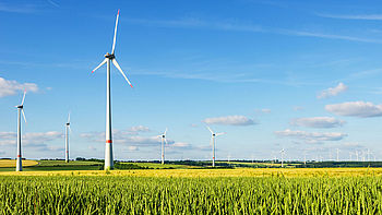 Windpark in Deutschland vor Weizenfeld
