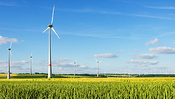 Windpark in Deutschland vor Weizenfeld