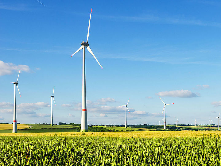 Windpark im Weizenfeld