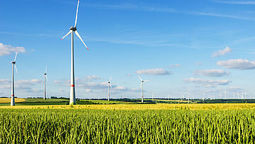 Windpark in Deutschland vor Weizenfeld